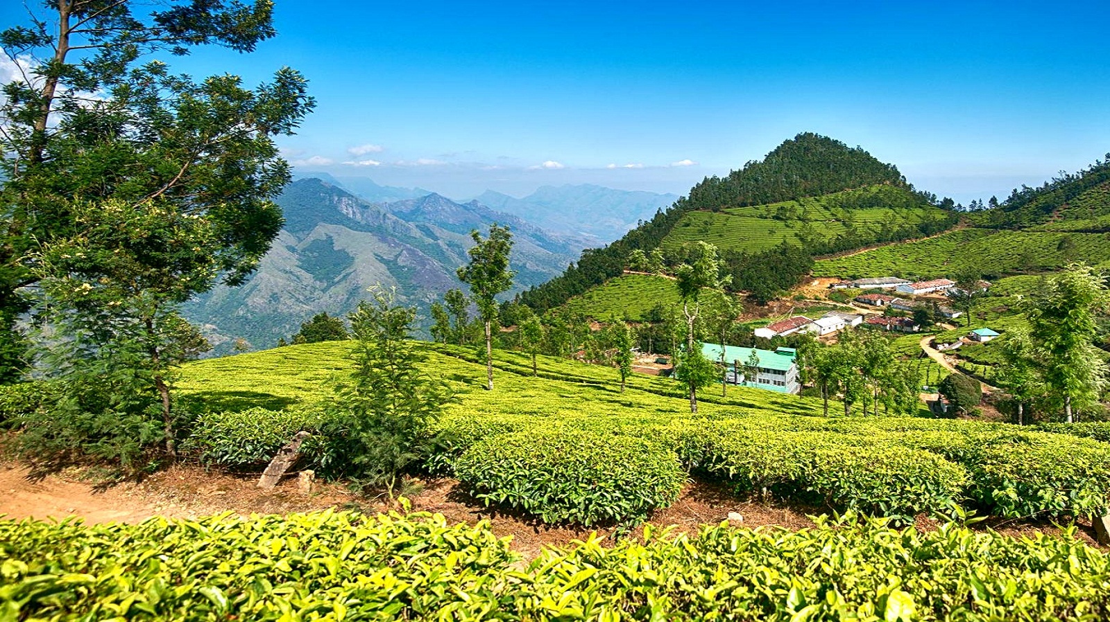 Places in North-east India That All Holiday Packages Should Include